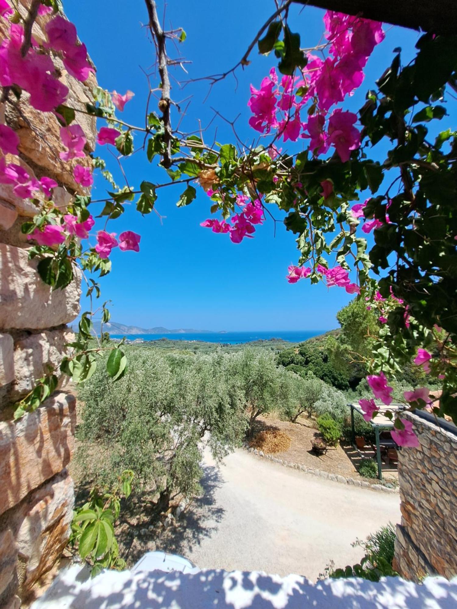 Tsivouli Accommodation Lithakia  외부 사진